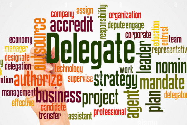 Which Health Care Team Member is the Designated Delegator?